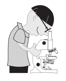 58294main_The.Brain.in.Space-page-58-kid-microscope