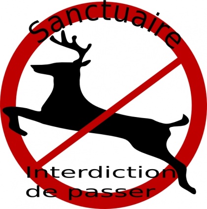 Animals Symbol Signs Symbols Mammals Chevreuil Sanctuaire
