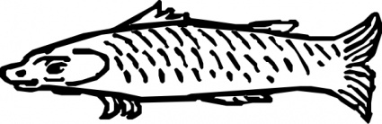 Animals Water Food Outline Fish Lineart Ocean Sea