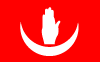 Anjouan Vector Flag