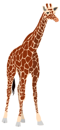 Another Giraffe