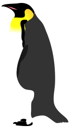 Architetto -- pinguino 2