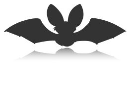 Bat Silhouette Icon