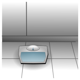 Bathroom Scale 1