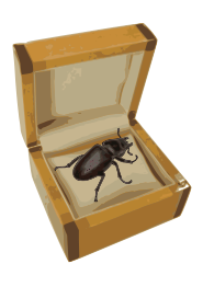 Beetle in a Box