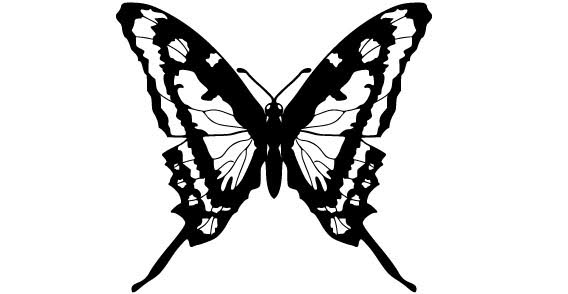 Black white Butterfly free vector