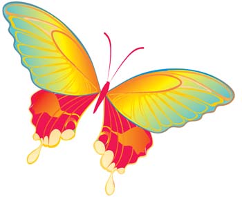 Butterfly Vector 19