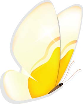Butterfly Vector 33