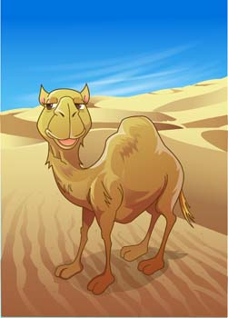 Camel Vector 14