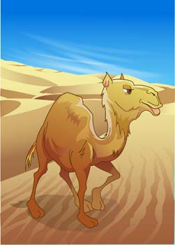 Camel Vector 15