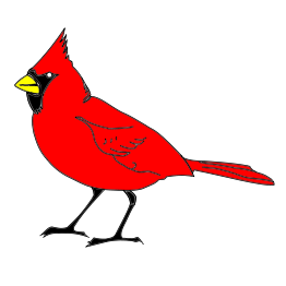 Cardinal Remix 1