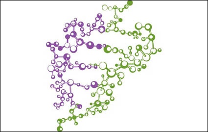 Chemical molecular diagram Vector