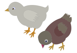 Chickens 002 Figure Color