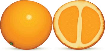 Citrus fruit 1