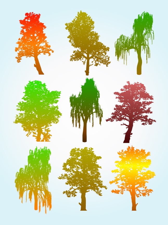 Colorful Tree Silhouette