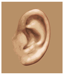 Das menschliche Ohr - GemÃ¤ldestil