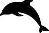 Dolphin Silhouette Vector