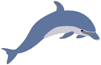 Dolphin Vector 1
