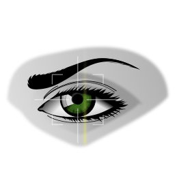 Eye Scan