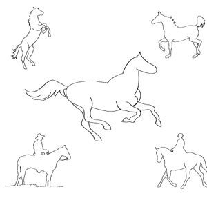 Five Horses Sketch