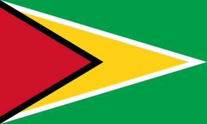 Flag South Republic British America Guyana