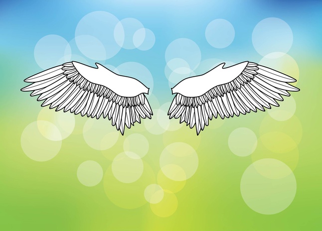 Free Wings Vectors
