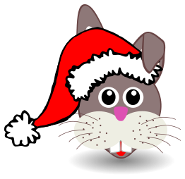 Funny bunny face with Santa Claus hat