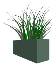 Grass in square planter