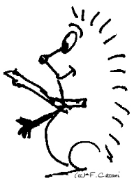 Hedgehog Cartoon Profile