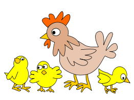 Hen with three chicken