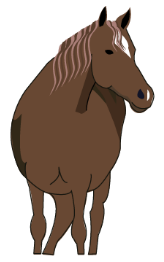 Horse - Cheval