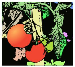 Illustration Tomaten