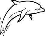 Jumping Dolphin Free Vector