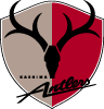 Kashima Antlers Vector Logo