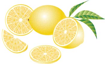 Lemon 8