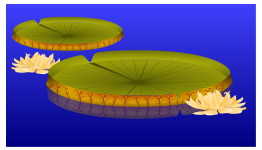 Lilypad with Flowers