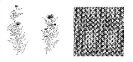 Line drawing of flowers -10