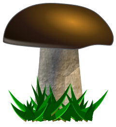 Mushroom, grybas