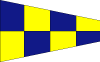 Negative Signal Vector Flag