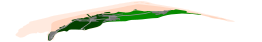 Nordseeinsel Amrum (Perspektive)