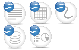 OpenOffice.org Application Logo