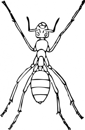 Outline Ant Bug Lineart Insect Formicidae Predatory