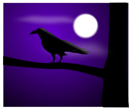 Raven Illustration