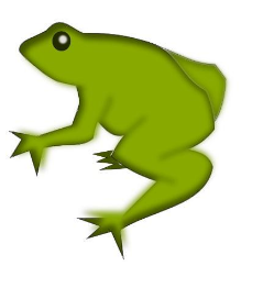 Remix - Frog