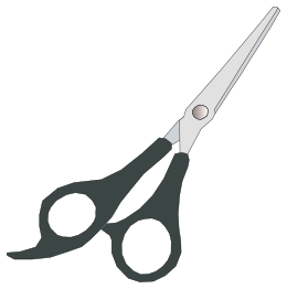 Scissors 1