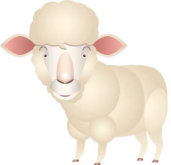 Sheep vector 3