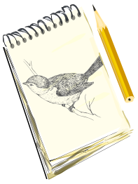 Sketchpad, with drawing of a bird