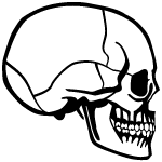 Skull Profile Vector