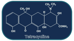 Tetracycline Structure