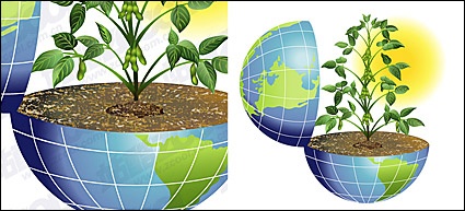 The vitality of the Earth vector material